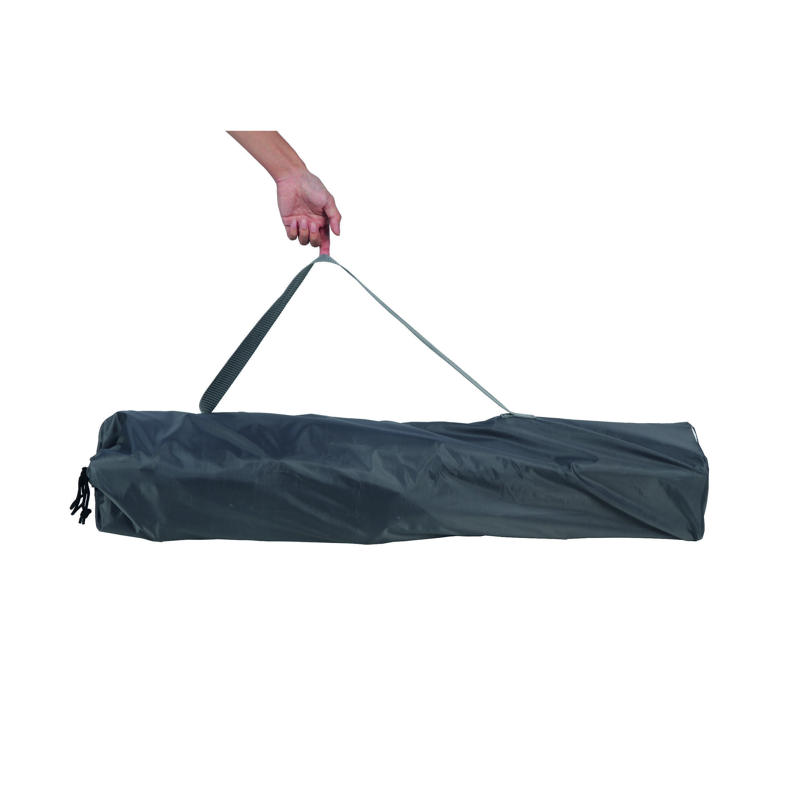 Caisse pliable pour chien